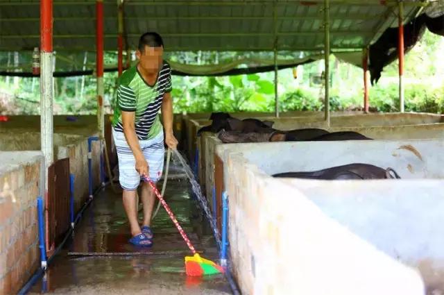 琼山区康复事业单位推动高质量发展，助力健康琼山建设新闻发布